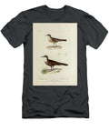 Cinclodes Birds of South America 1835 U1 Historic Illustrations T-Shirt