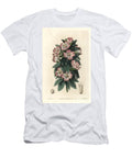 Clarkia Purple Winecup Fairyfan Clarkia Purpurea Subsp European School T-Shirt
