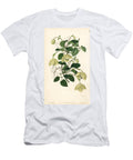 Clematis Cirrhosa Long Stalked Majorca Virgins Bower Clematis Pedicellata European School T-Shirt