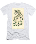 Clematite Clematis Forsteri Six Petaled Virgins Bower Clematis Hexasepela European School T-Shirt
