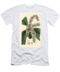 Clethra a Oak Leaf Clethra Mexicana Oak Leaved Clethra Clethra Quercifolia European School T-Shirt