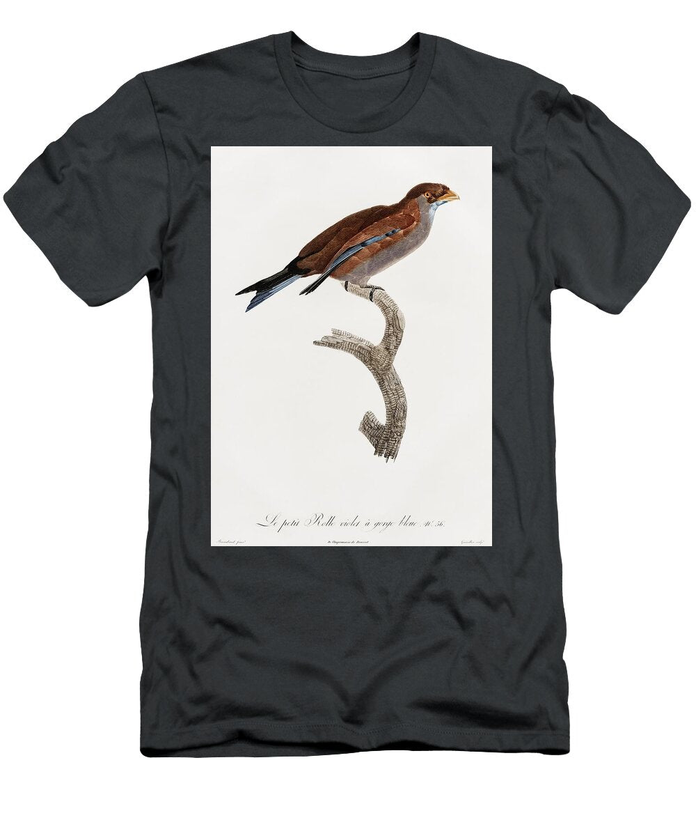 Coaita or Spider Monkey From Zoological Lectures Delivered At the Royal Institution in the Years 180 Les Classics T-Shirt
