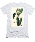 Cockleshell Orchid Prosthechea Cochleata Leaved Epidendrum Epidendrum Lancifolium European School T-Shirt
