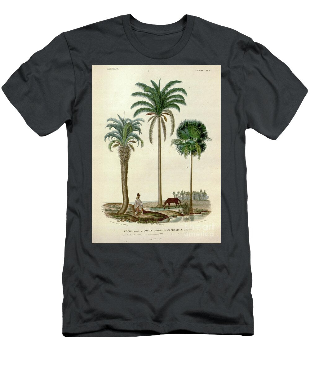 Coconut Trees of South America U1 Botany T-Shirt