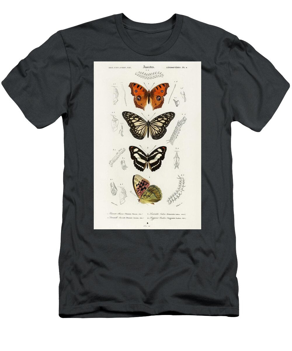 Collection of Butterflies Illustrated By Charles Dessalines D Orbigny 1806 1876 Les Classics T-Shirt