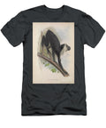 Colobus Ursinus Q2 Historic Illustrations T-Shirt