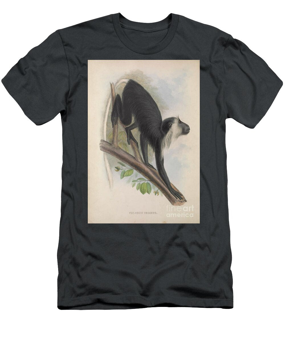 Colobus Ursinus Q2 Historic Illustrations T-Shirt