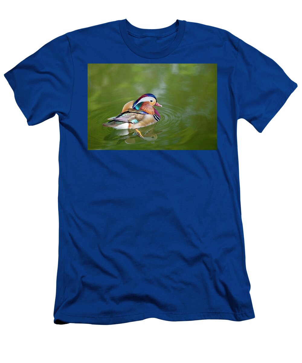 Colorful Mandarin Duck 5 Lynn Hopwood T-Shirt