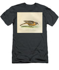 Colorized Plate Plectrophanes Picta O1 Historic Illustrations T-Shirt