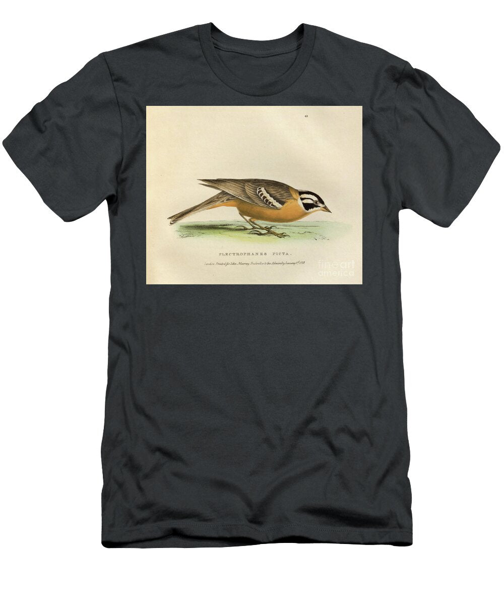 Colorized Plate Plectrophanes Picta O1 Historic Illustrations T-Shirt