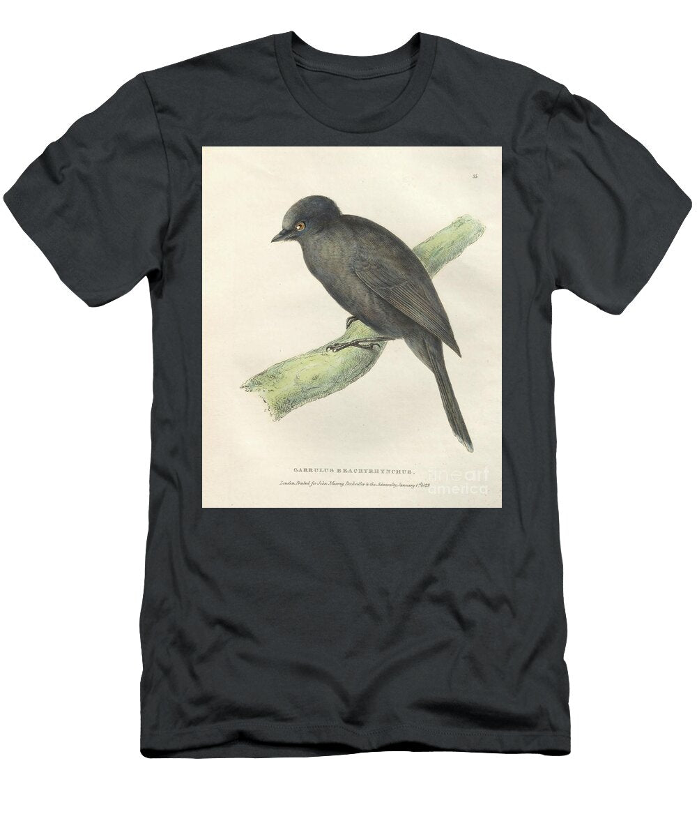 Colourised Plate Farrulus Brachyrhynchus O1 Historic Illustrations T-Shirt