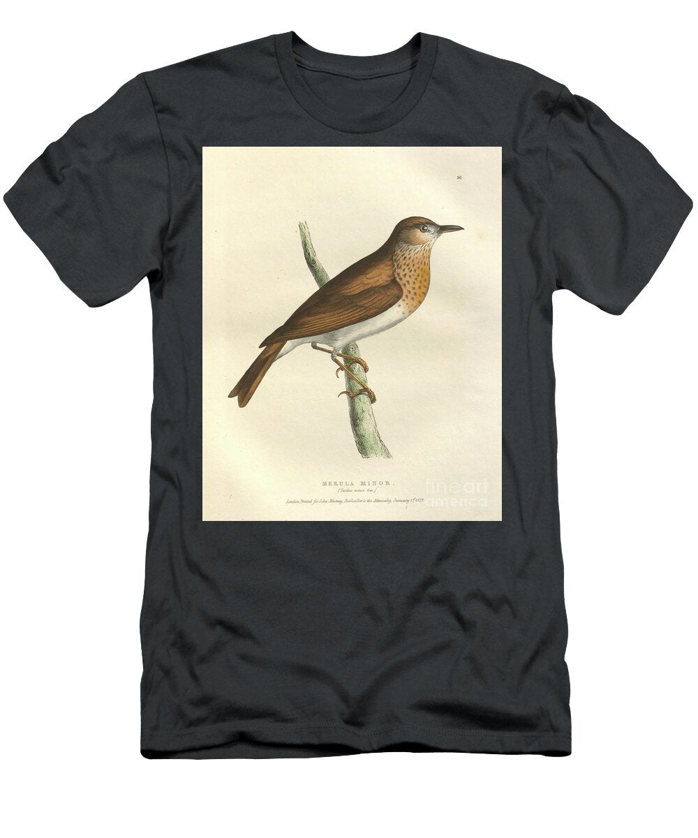 Colourised Plate Merula Minor O1 Historic Illustrations T-Shirt