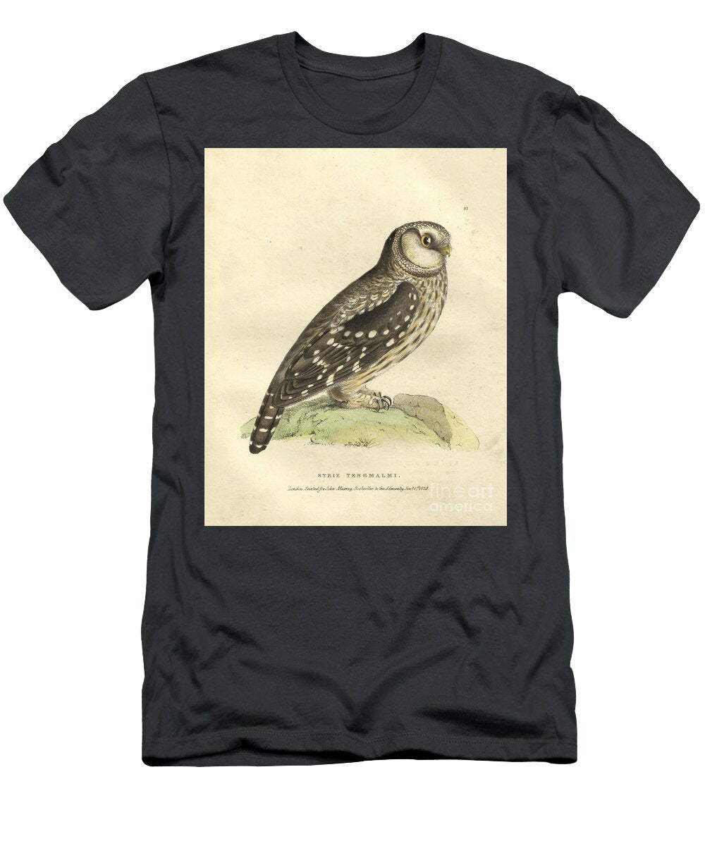 Colourised Plate O1 Historic Illustrations T-Shirt