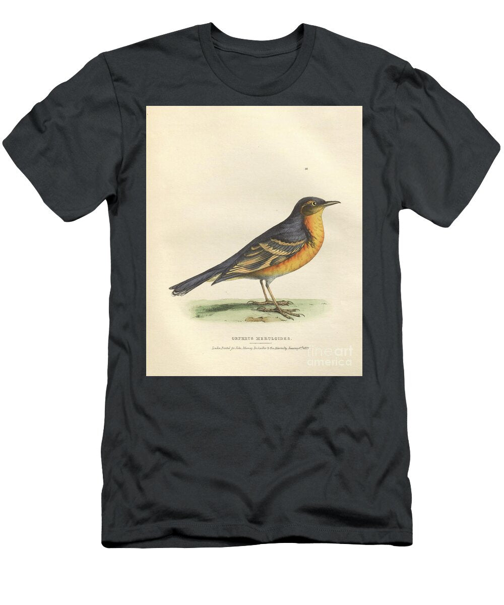 Colourised Plate Orpheus Meruloides O1 Historic Illustrations T-Shirt