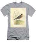 Colourised Plate Water Pipit Anthus Aquaticus O1 Historic Illustrations T-Shirt