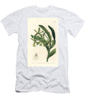 Comb Epidendrum Orchid Epidendrum Cristatum Frog Epidendrum Epidendrum Raniferum European School T-Shirt