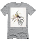 Common Iora Aegithina Tiphia Y1 Historic Illustrations T-Shirt