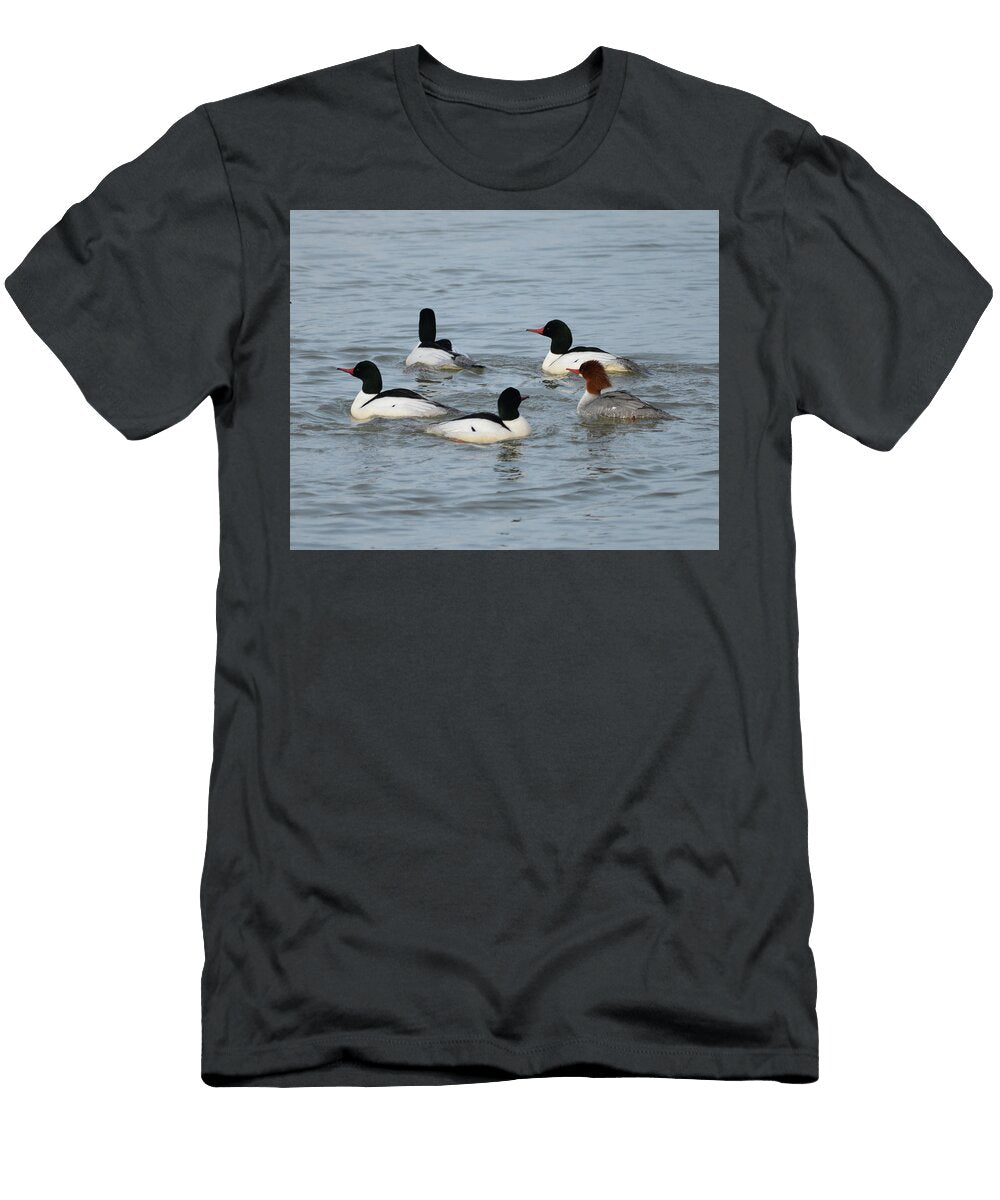 Common Merganser Courtship Whispering Peaks Photography T-Shirt
