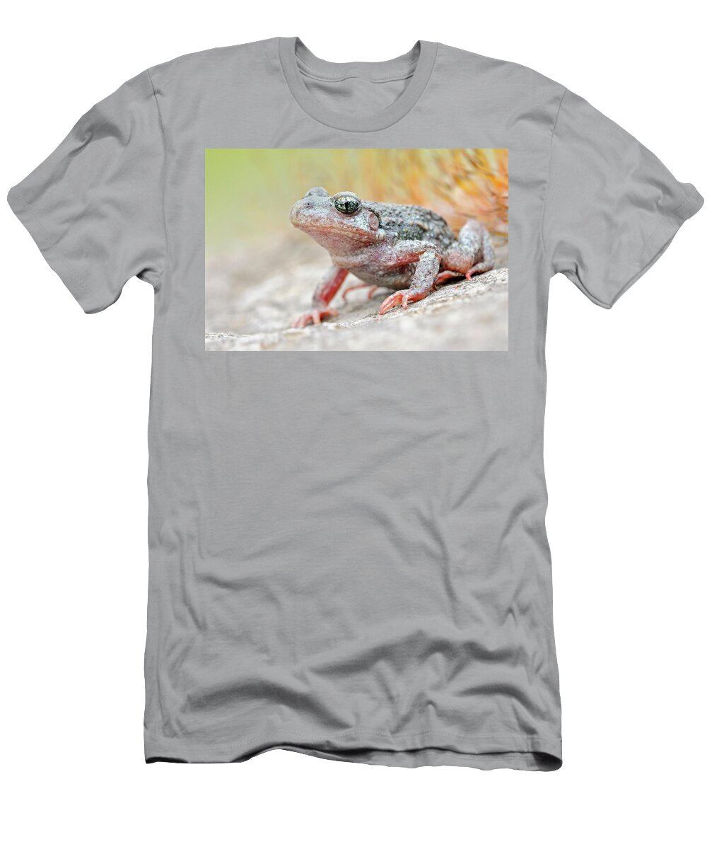 Common Midwife Toad Alytes Obstetricans Sitting on Rocks Wonderfulearth T-Shirt