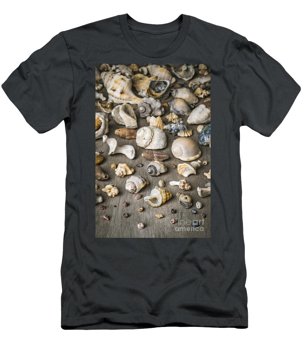 Conch Background Carlos Caetano T-Shirt