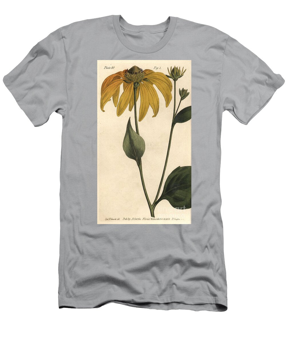 Coneflower or Black Eyed Susan Rudbeckia Hirta Polygamia Frustranea Sydenham Teast Edwards T-Shirt