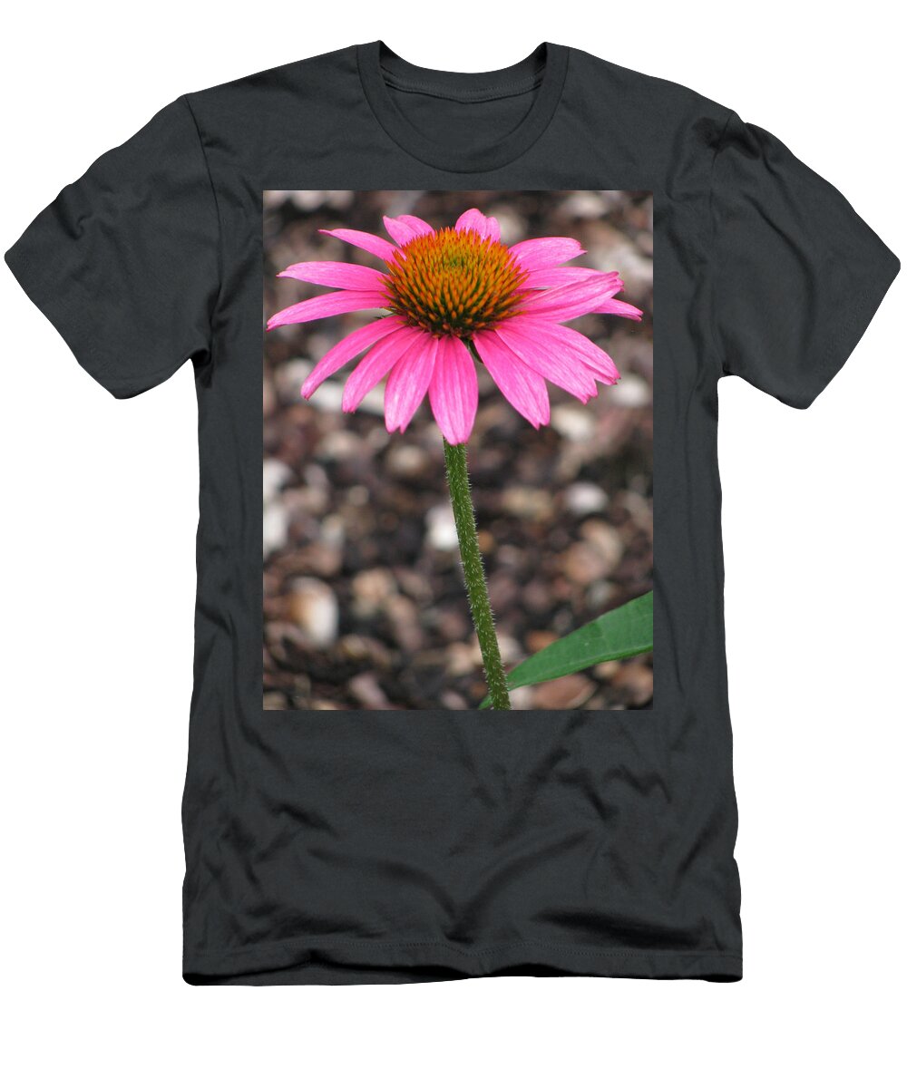 Coneflower Pink Shimmer Burpee 01 Pamela Critchlow T-Shirt