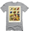 Contrasts of Colours I Historic Illustrations T-Shirt