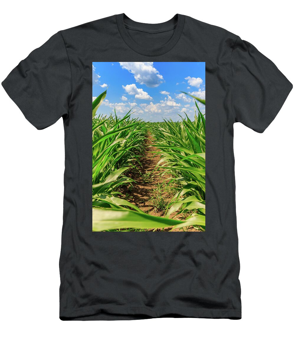 Corn Field From Above David Ilzhoefer T-Shirt