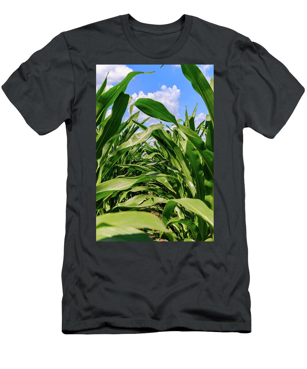 Corn Leaves David Ilzhoefer T-Shirt