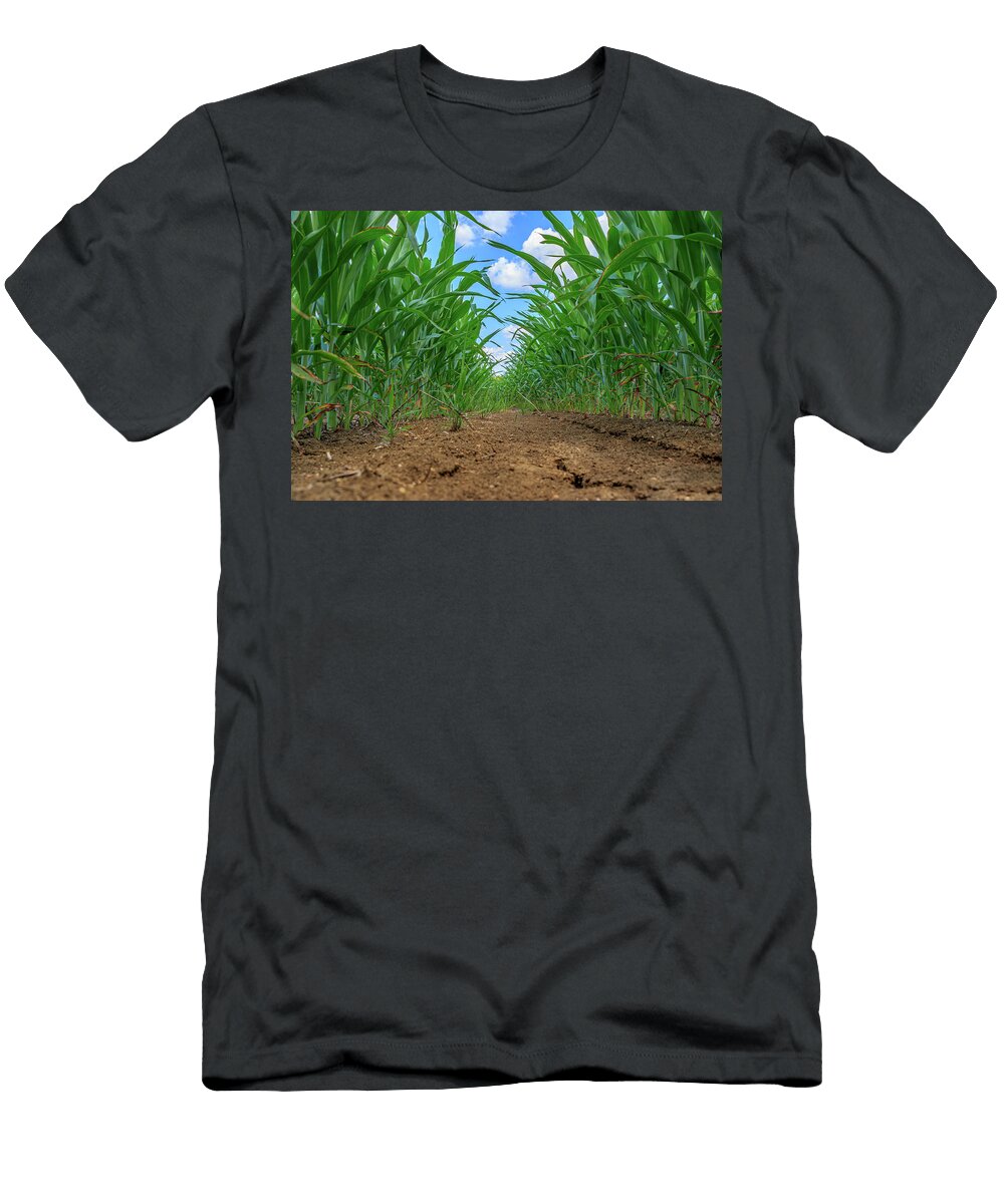 Cornfield in the Morning David Ilzhoefer T-Shirt