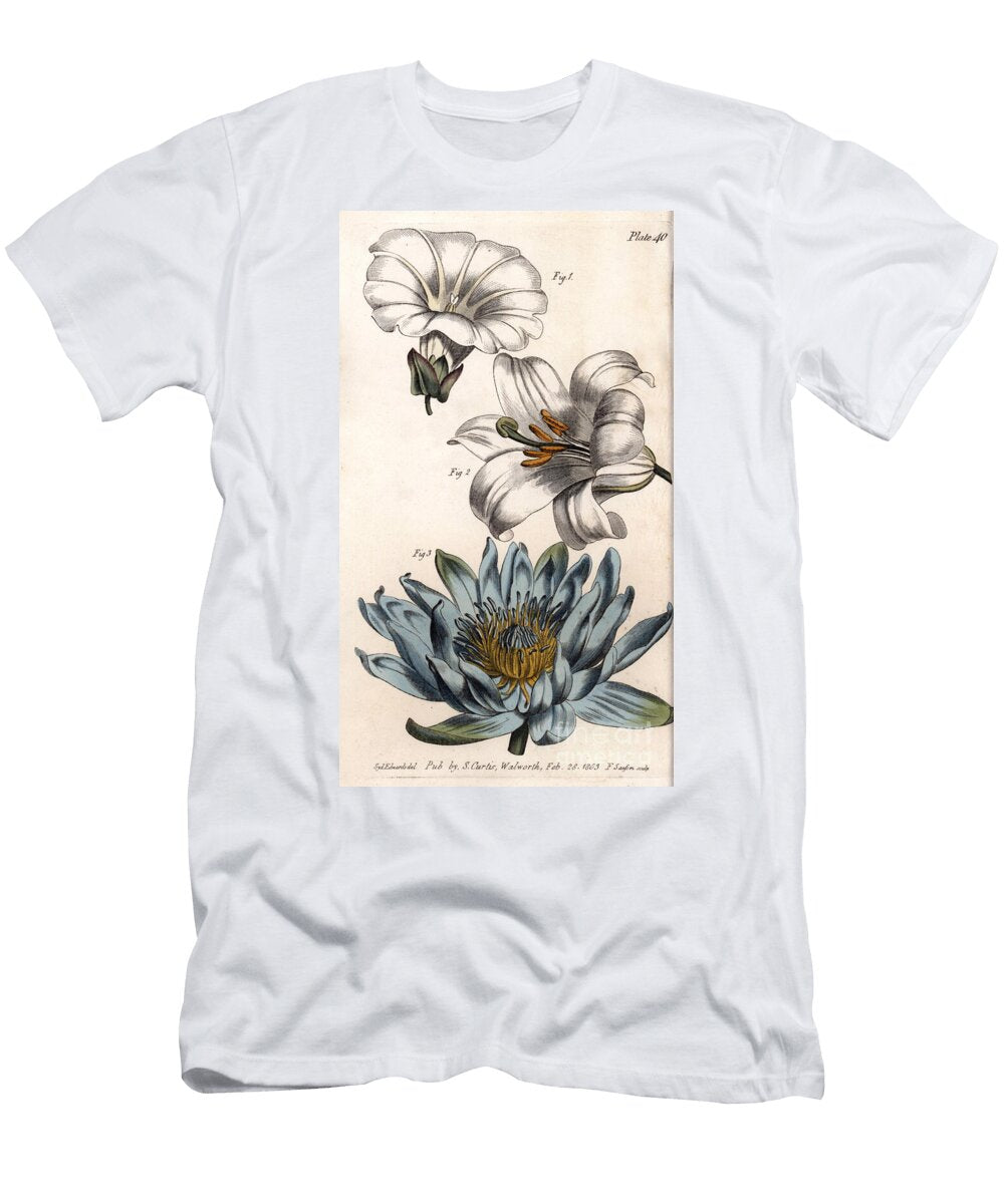 Corolla Field Edge Flower Has a Single Petal Lily Hexapetal and Lily Polypetal Sydenham Teast Edwards T-Shirt