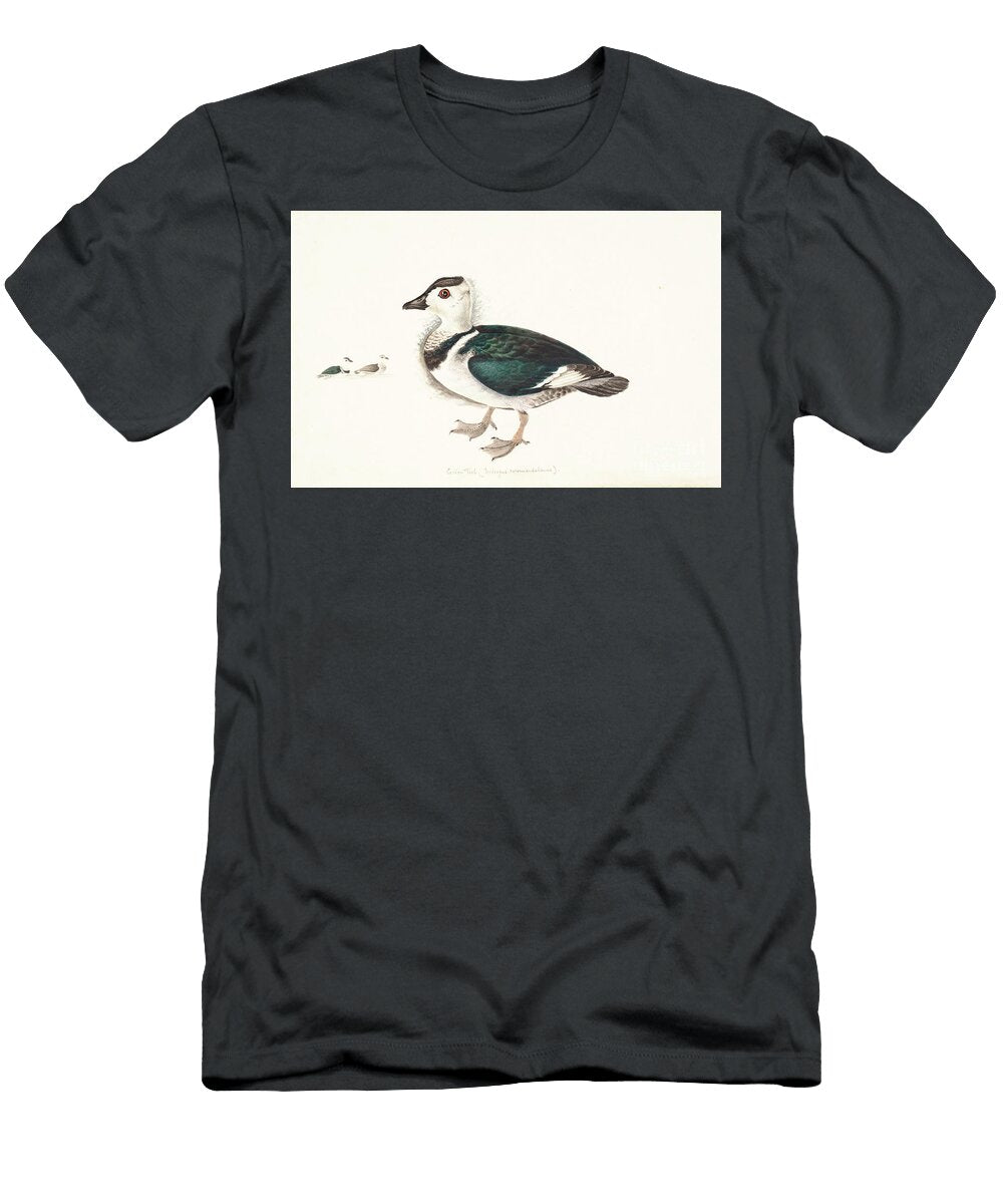 Cotton Pygmy Goose or Teal Nettapus Coromandelianus Y1 Historic Illustrations T-Shirt
