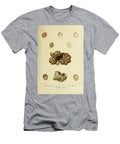 Crepidula and Calyptraea Sea Snails B1 Historic Illustrations T-Shirt