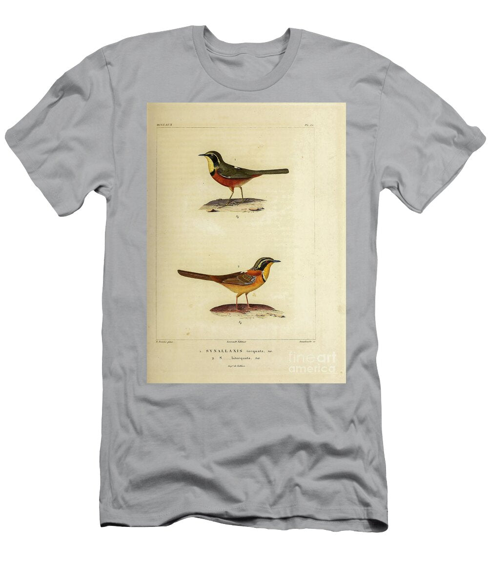 Crescentchests of South America 1835 U1 Historic Illustrations T-Shirt
