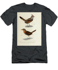 Crested Gallito and Chucao Tapaculo U1 Historic Illustrations T-Shirt