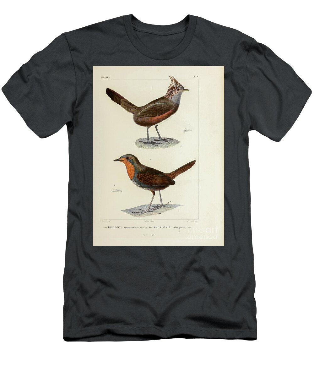 Crested Gallito and Chucao Tapaculo U1 Historic Illustrations T-Shirt