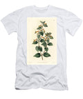 Cuphea Cigarette Plant Black Eyed Cuphea Cuphea Cyanea Coarse Haired Cuphea Cuphea Strigillosa European School T-Shirt