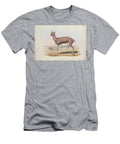 Cuviers Gazelle Gazella Cuvieri Q1 Historic Illustrations T-Shirt