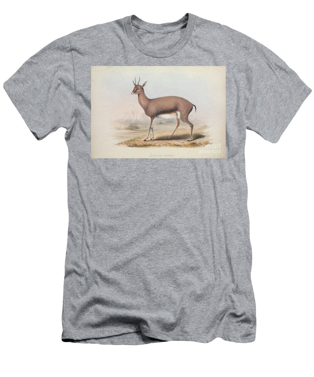 Cuviers Gazelle Gazella Cuvieri Q1 Historic Illustrations T-Shirt