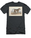 Cynocephalus Thoth Baboon Q1 Historic Illustrations T-Shirt