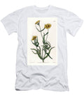 Daisy Variete Gold Endemic to California Sydenham Teast Edwards T-Shirt