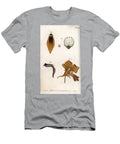 Detailed Description of the Stem and Crown of the Fritillary Sydenham Teast Edwards T-Shirt