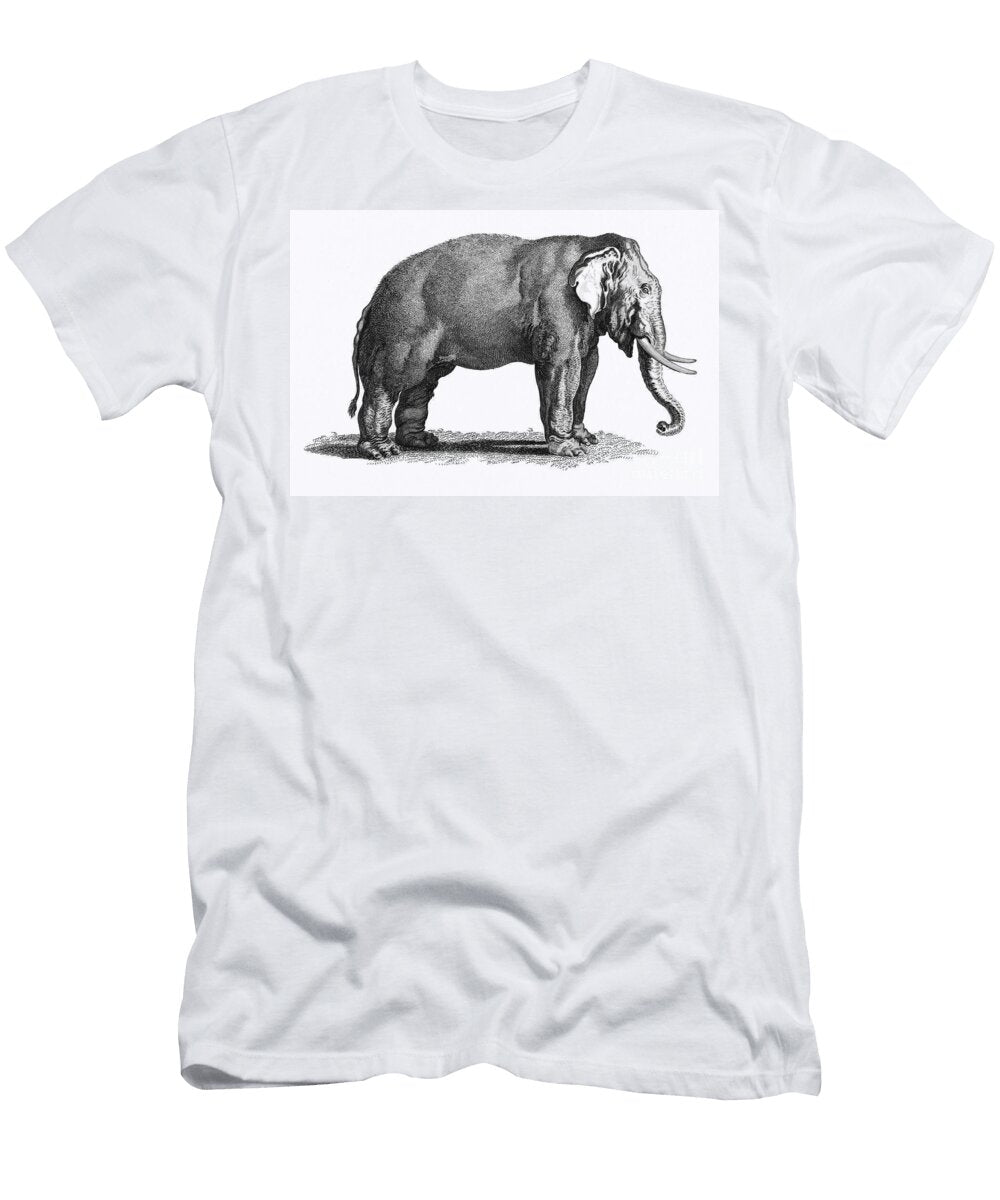 Detailed Elephant Engravingillustration of Elephant From Zoological Lectures Delivered At the Royal Salsabeel Studio T-Shirt