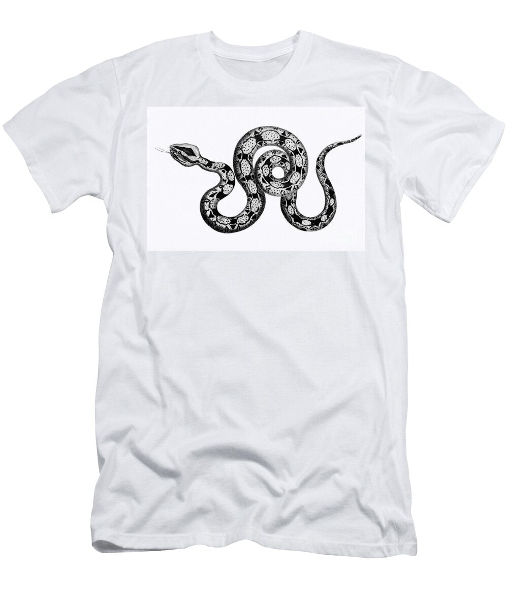 Detailed Snake Illustrationillustration of Constrictor Boa From Zoological Lectures Delivered At the Salsabeel Studio T-Shirt