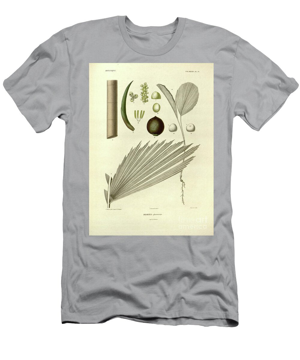 Details of Palm Tree Parts U1 Botany T-Shirt