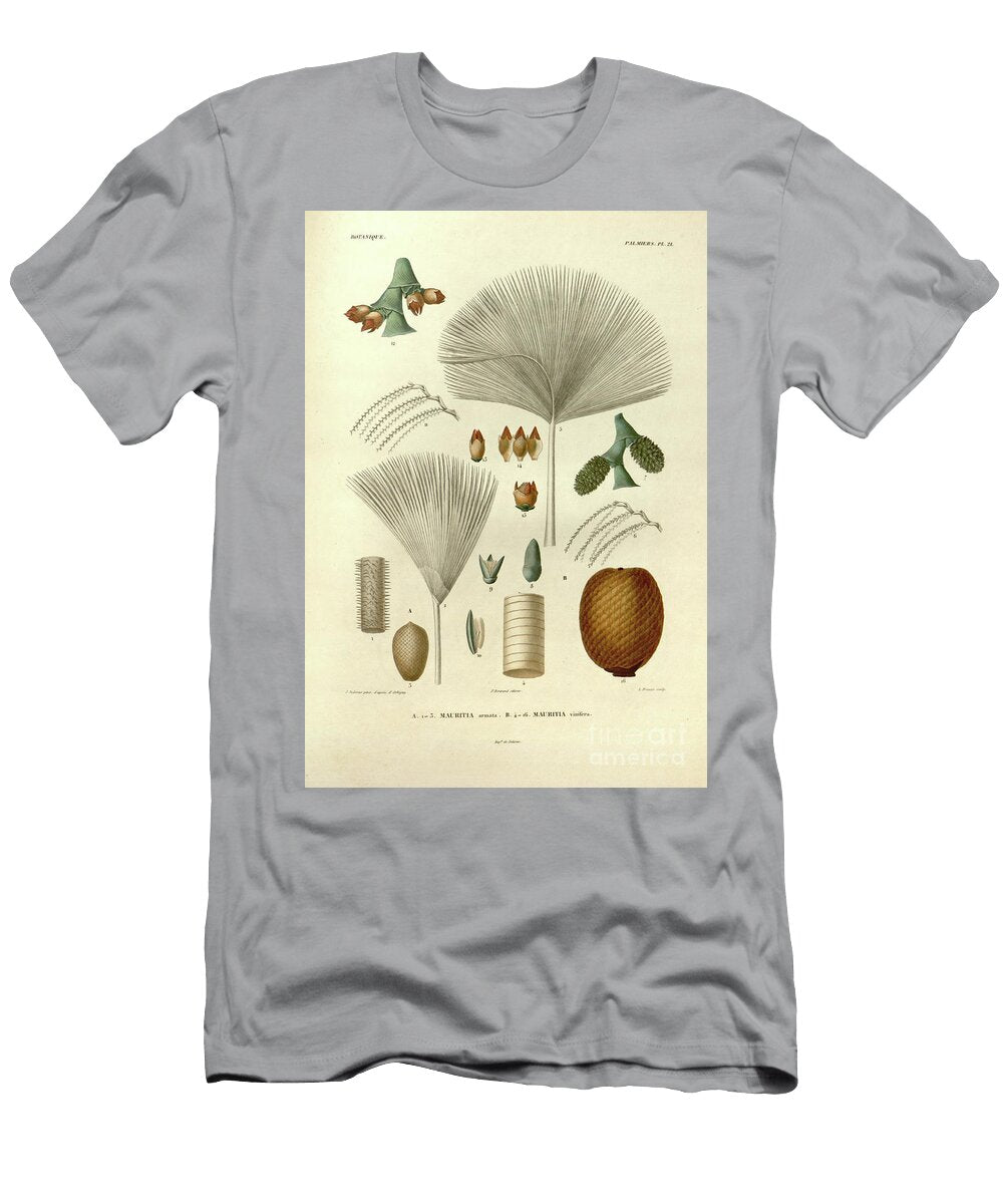 Details of Palm Tree Parts U2 Botany T-Shirt