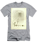 Details of Palm Tree Parts U3 Botany T-Shirt