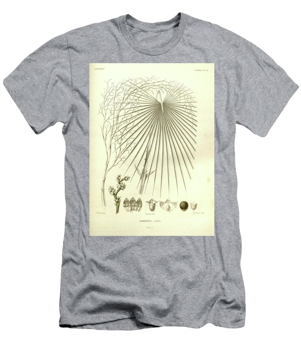 Details of Palm Tree Parts U3 Botany T-Shirt