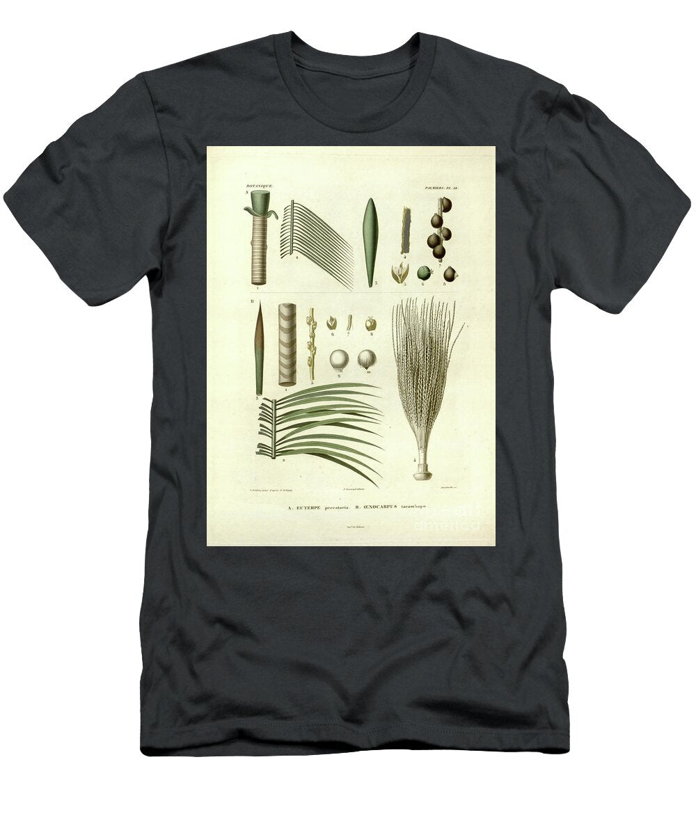 Details of Palm Tree Parts U5 Botany T-Shirt