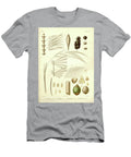 Details of Palm Tree Parts U6 Botany T-Shirt